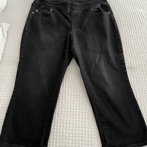 Belle Kim Gravel primabelle 23” inseam cropped Jean 18w